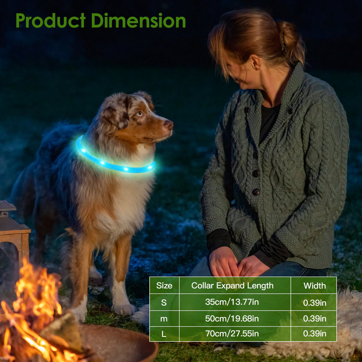 PawFix LED Safety Dog Collar – USB Rechargeable Light-Up Collar for Night Walks