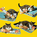 PawFix Kicker-Fish Catnip Pillow — Long Cat-Mint Plush Kicker Toy for Cats, Gold