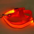 PawFix LED Night-Walk Dog Leash – Light-Up Leash for Night Walks