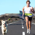 PawFix Hands-Free Running Waist Leash