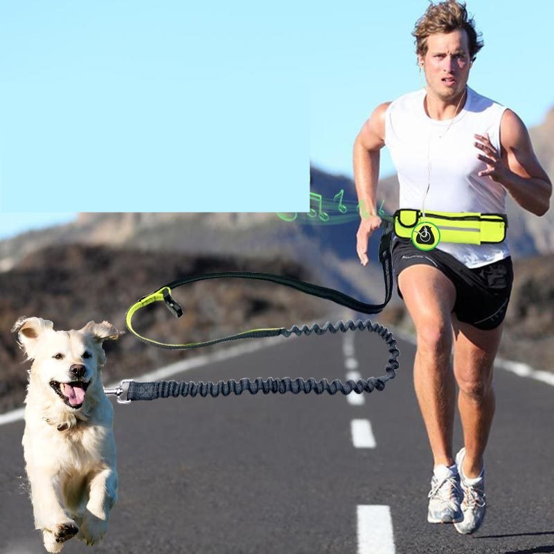 PawFix Hands-Free Running Waist Leash